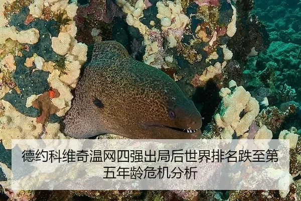de-yue-ke-wei-qi-wen-wang-si-qiang-chu-ju-hou-shi-jie-pai-ming-die-zhi-di-wu-nian-ling-wei-ji-fen-xi-2-206.jpg