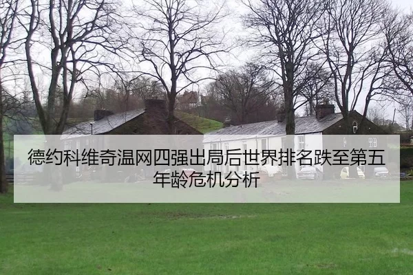 de-yue-ke-wei-qi-wen-wang-si-qiang-chu-ju-hou-shi-jie-pai-ming-die-zhi-di-wu-nian-ling-wei-ji-fen-xi-3-818.jpg